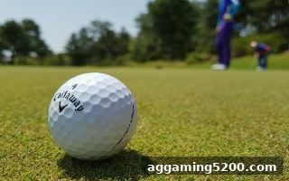 爱游戏带你深入理解合并与分割选号技巧：从概率到实战