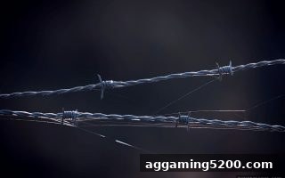 爱游戏警示：识别线上娱乐平台陷阱，选对靠谱平台的关键指南